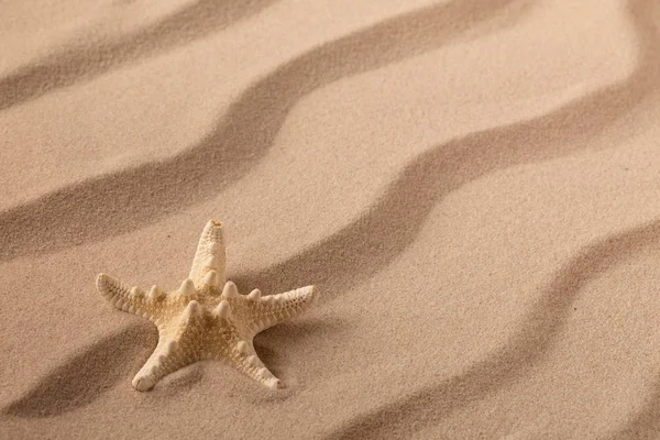 Αστερίας Κυματιστό Αμμώδη Παραλία Καλοκαιρινό Φόντο Διακοπών — Φωτογραφία Αρχείου