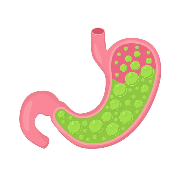 Icona dello stomaco. Organi interni umani . — Vettoriale Stock