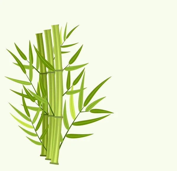 Vektor grüne Bambusstämme — Stockvektor