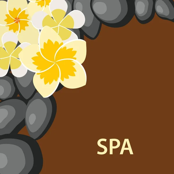 Spa background with stones — Stock Vector