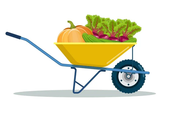 Chariot de jardin avec betterave, citrouille, concombre. — Image vectorielle