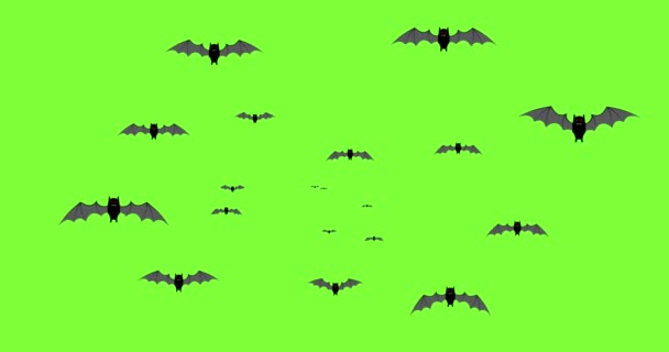 Чёрные летучие мыши Хэллоуина — стоковое видео