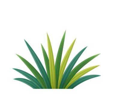 3d Realistic tropical green plant with long leaves, perfect for botanical design, landscaping visuals, or nature themes. 3d rendering. Vector illustration