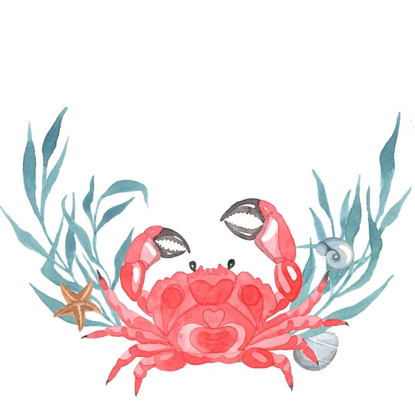 Marine theme. Crab on a white background. Watercolor Handpainting. — Stock Photo, Image