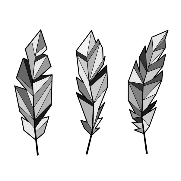 Feathers gray set — Stock Vector