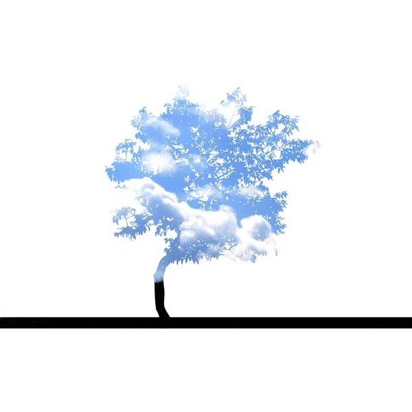 Baum mit Himmel — Stockvektor