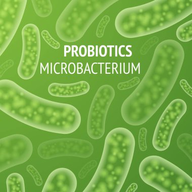 Probiyotik bakteri organizmalar