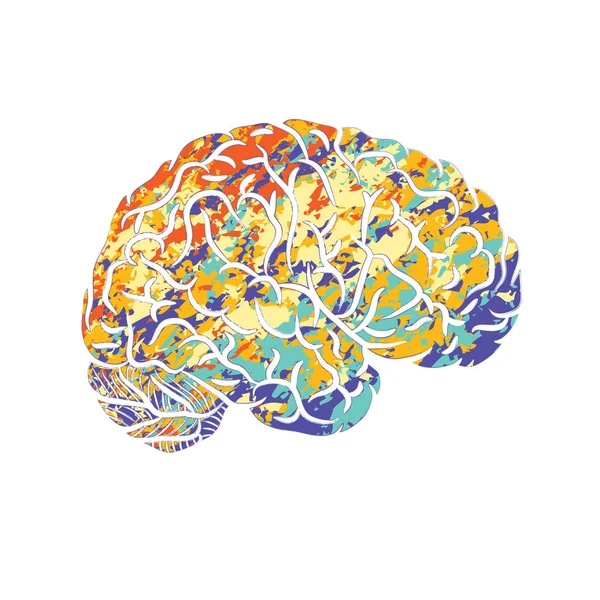 Silueta cerebral humana — Archivo Imágenes Vectoriales