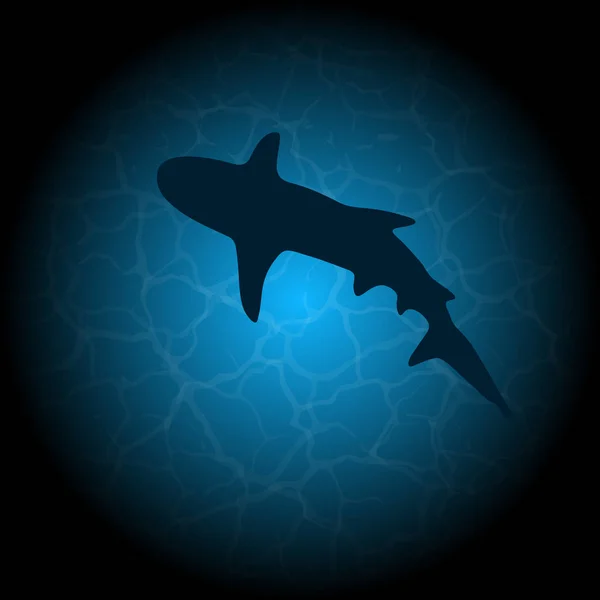 Silueta de tiburón de agua azul — Vector de stock