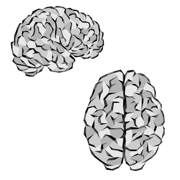 Gray brain silhouettes — Stock Vector
