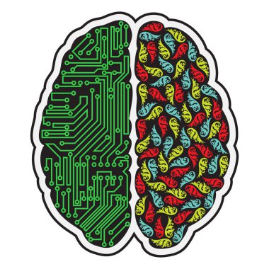 İnsan beyninin yarısı