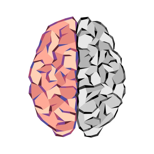 Troncos abstratos cerebrais — Vetor de Stock