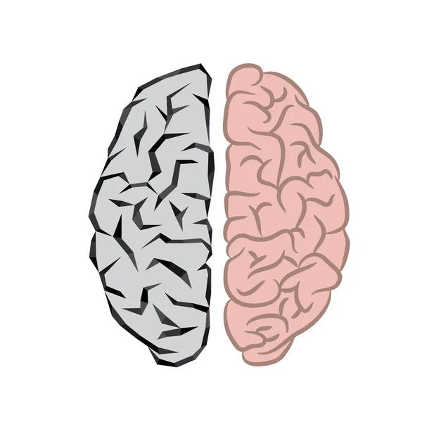 Cerebros humanos y robóticos — Archivo Imágenes Vectoriales