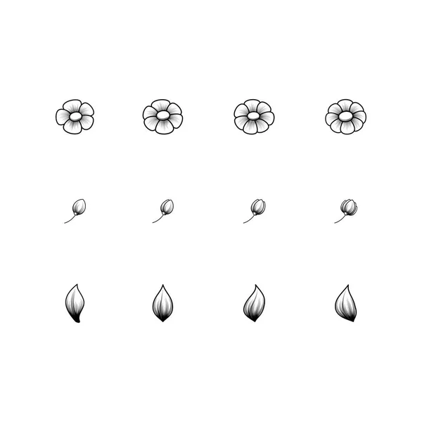 Fond d'ornement marguerite — Image vectorielle