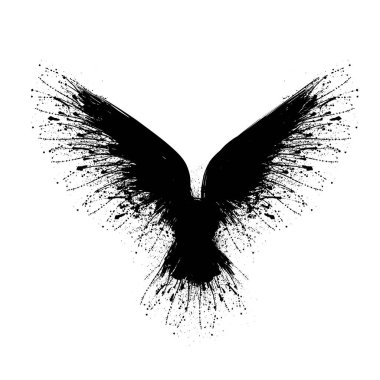 Siyah lekeleri kuzgun