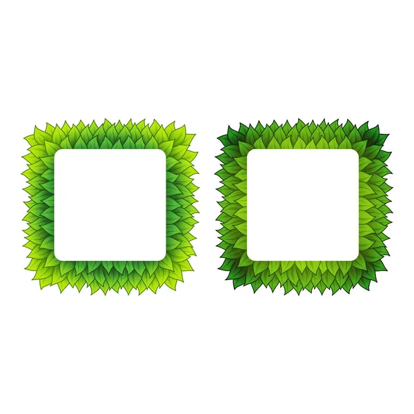 Outline square leaves frames — Stock Vector
