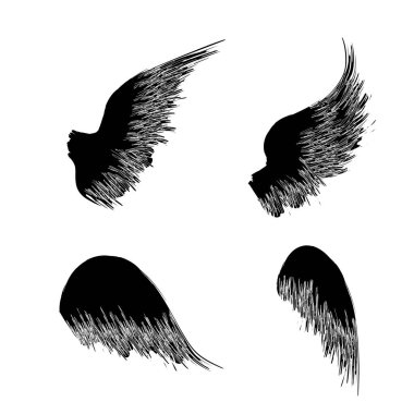 Dört siyah kanatlar