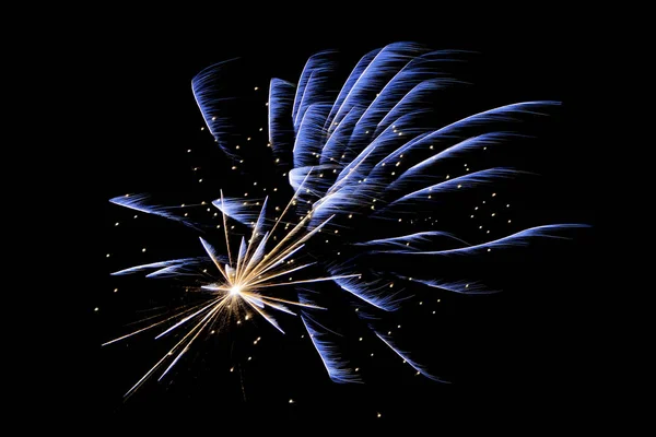 Fuochi Artificio Blu Sfondo Nero — Foto Stock