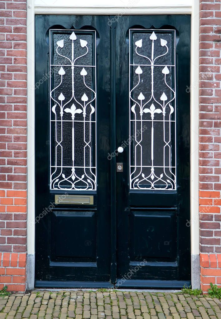 Hermoso Negro Doble Puerta Con Paneles Vidrio Rejas Hierro Forjado