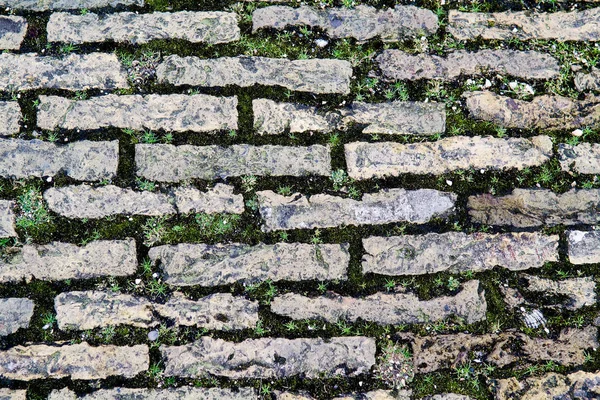 歩道のための公園に並ぶ四角い灰色の石のテクスチャ コケの石の間 — ストック写真