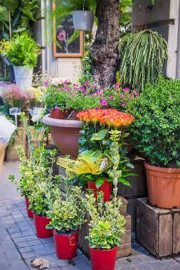 Çeşitli çok renkli taze çiçekler ile çiçek pazarı. Seçici odak