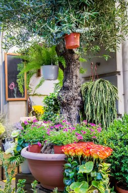 Çeşitli çok renkli taze çiçekler ile çiçek pazarı. Seçici odak