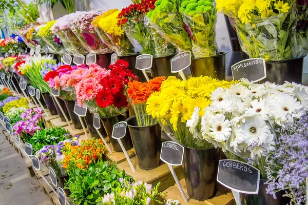 Квітковий Ринок Різними Різнокольоровими Свіжими Квітами Вибірковий Фокус — стокове фото