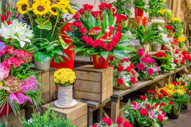 Çeşitli çok renkli taze çiçekler ile çiçek pazarı. Seçici odak