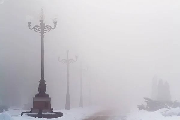 Зимний Пейзаж Туманом Фоне Парка Селективный Фокус — стоковое фото