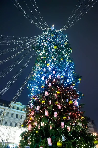 Christmas Tree Decorated Lanterns Outdoors Night — Stock Photo, Image