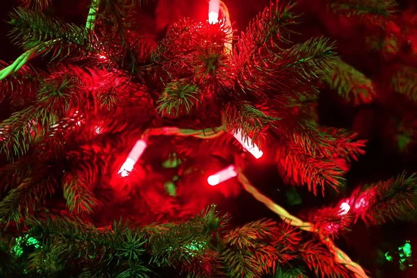 Luci Natale Appese Albero Focus Selettivo — Foto Stock