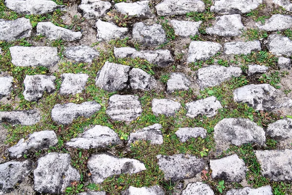 Calçada de paralelepípedo com grama verde entre as pedras — Fotografia de Stock