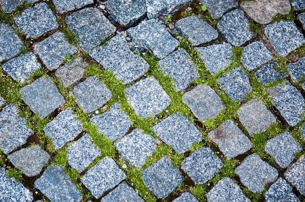 緑の芝生の上の舗装石のトラックのシームレスなテクスチャ — ストック写真