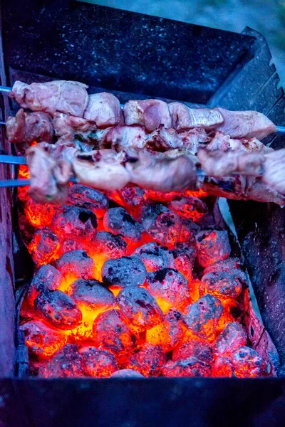 Kömürün Üstünde Izgara Yapmaya Hazırlanan Kebap Seçici Odak — Stok fotoğraf