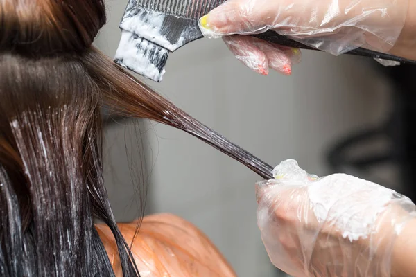 Coloration des cheveux dans un salon de beauté — Photo