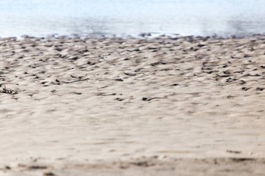 sahilde kum arka plan