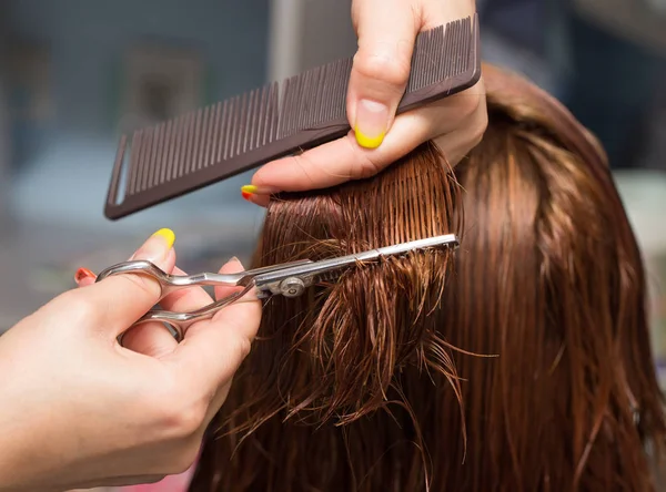 Female hair cutting scissors in a beauty salon — Stock Photo, Image