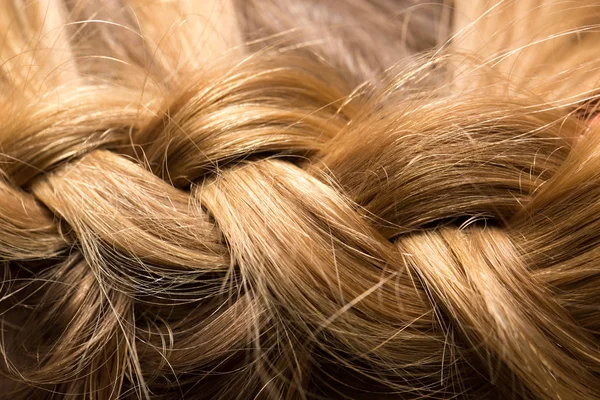 Trenzado coletas en el salón de belleza — Foto de Stock