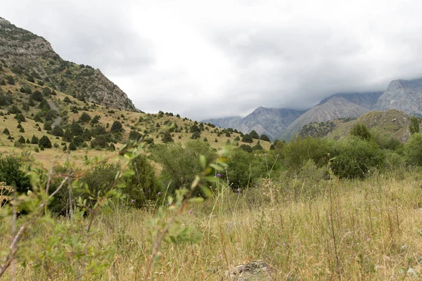 Naturaleza en las montañas de Kazajstán — Foto de Stock