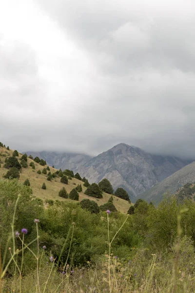 Naturaleza en las montañas de Kazajstán — Foto de Stock