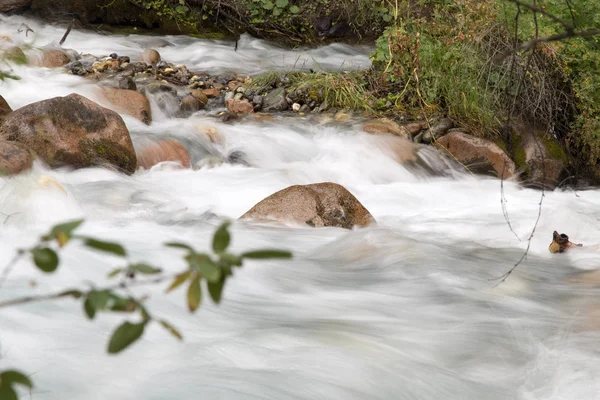 Berg rivier in de natuur — Stockfoto