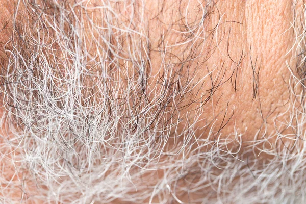 Hair of the beard. close-up — Stock Photo, Image