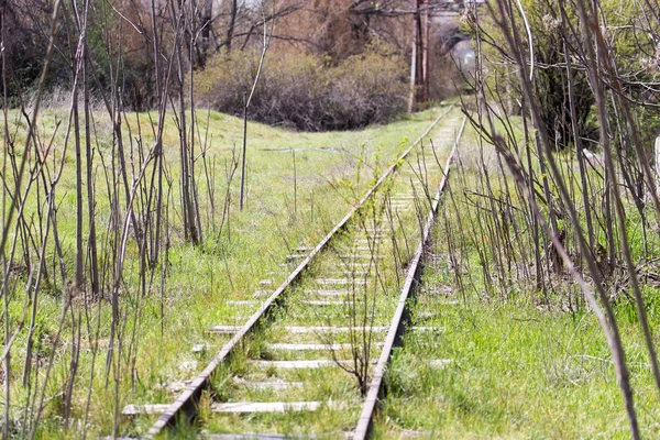Viejo ferrocarril grassed —  Fotos de Stock