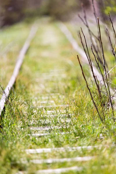 Oude spoorweg gras — Stockfoto