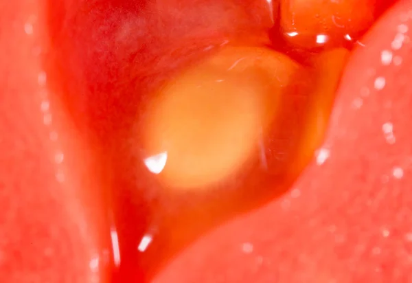 Close up fatia de tomate vermelho suculento — Fotografia de Stock