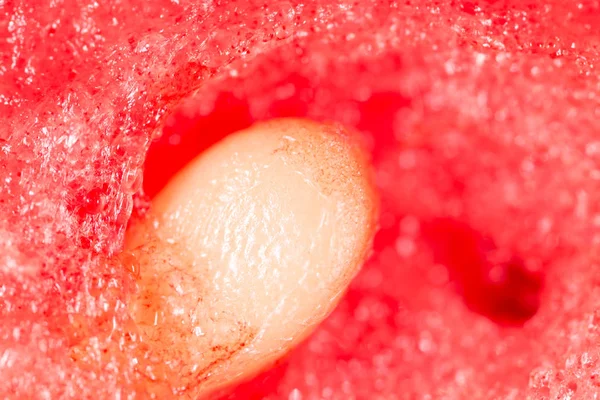 Watermelon seeds. Super Macro — Stock Photo, Image