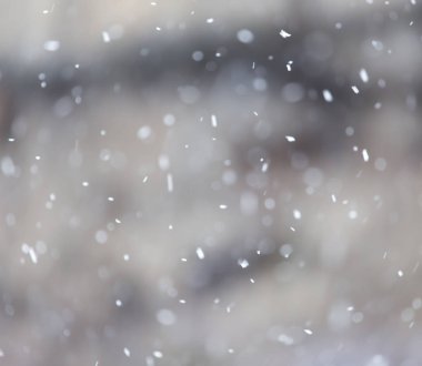 doğa ile kar düştü