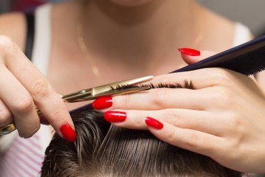 Erkek saç kesme makası Güzellik Salonu