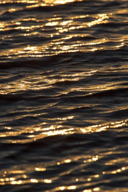 Altın güneş ışınlarının su arka plan