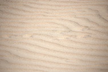 arka plan olarak doğada kum